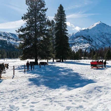 فيلا Nason Creek Cabin المظهر الخارجي الصورة