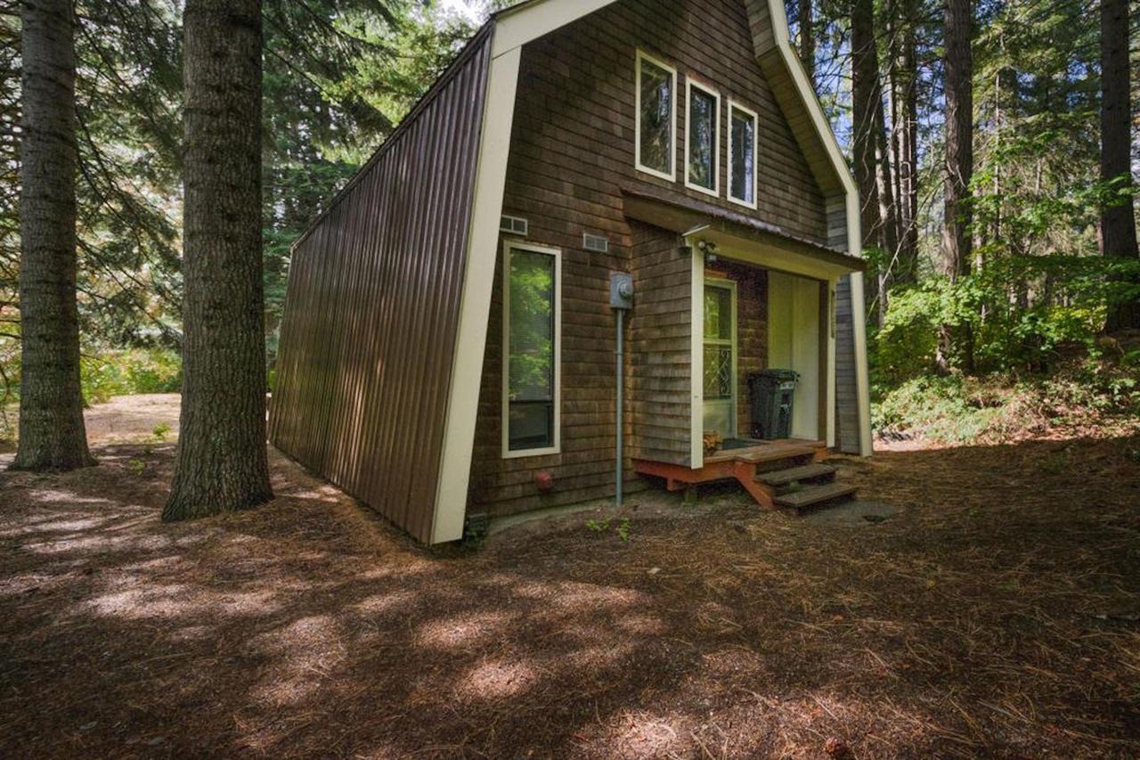 فيلا Nason Creek Cabin المظهر الخارجي الصورة