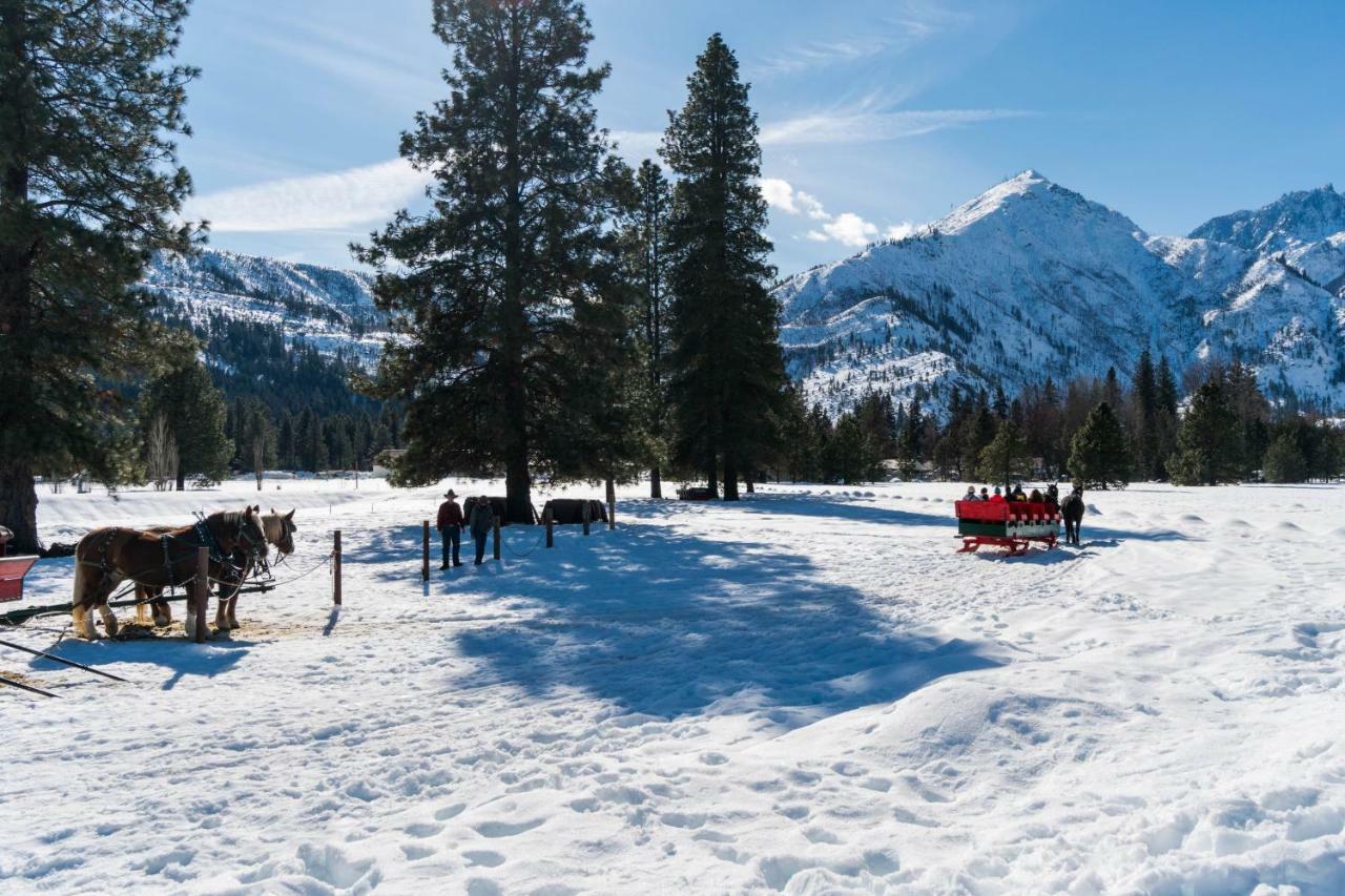 فيلا Nason Creek Cabin المظهر الخارجي الصورة