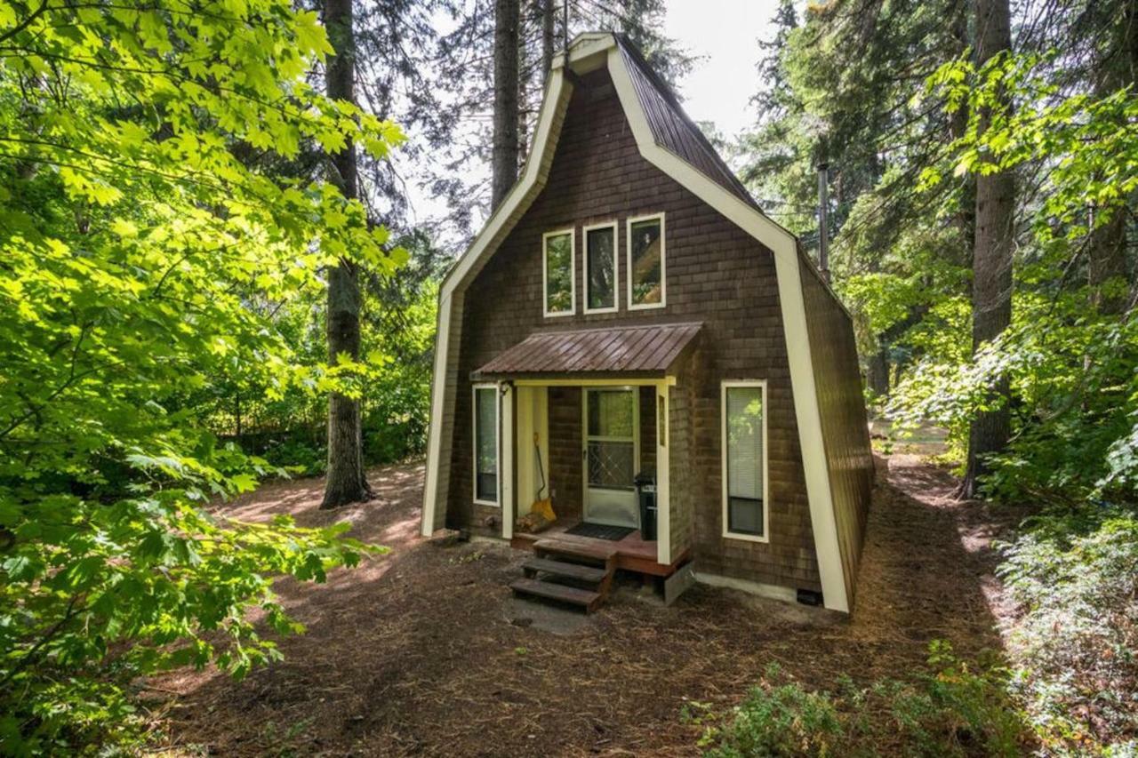 فيلا Nason Creek Cabin المظهر الخارجي الصورة